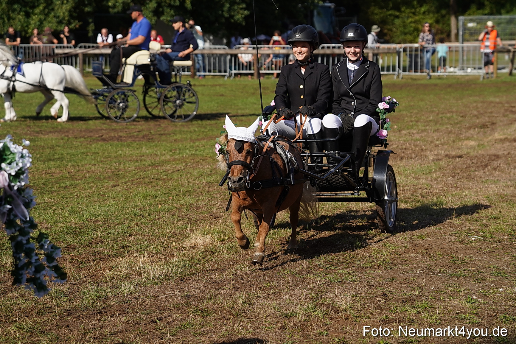 Pferde und Fohlenschau 2022 0096 